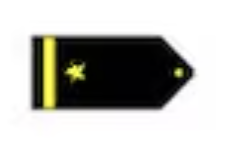<p>One gold 1/2-inch stripe outboard a gold five pointed star (O1)</p>