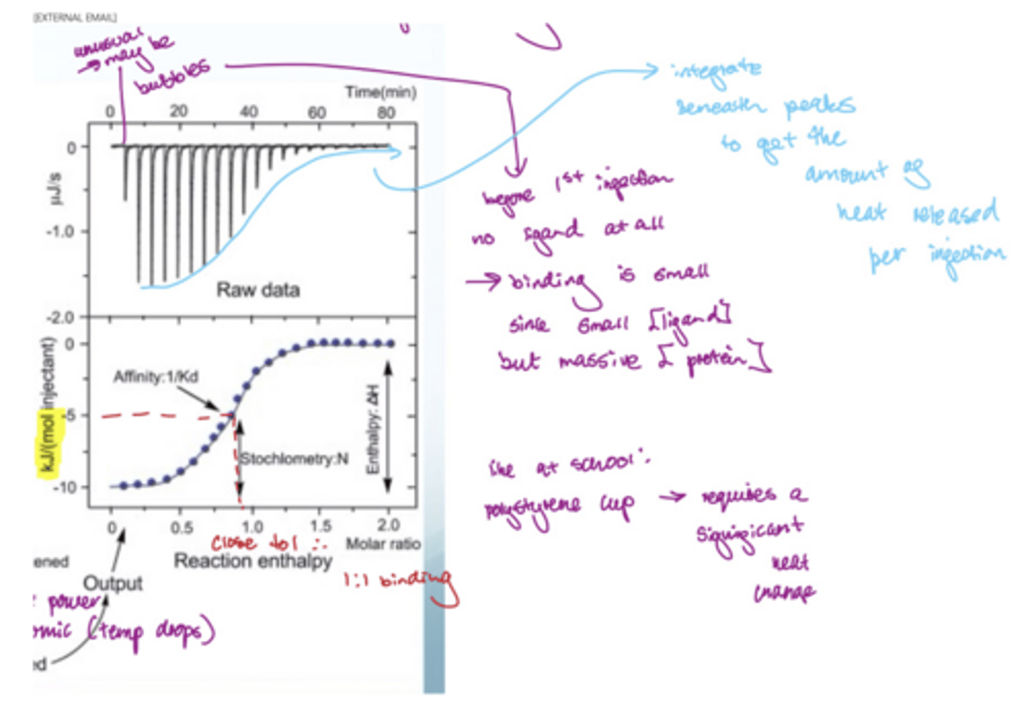 <p>the first peak is unusual since there are often bubbles in the syringe</p><p>before the first injection there is no ligand at all, so binding is small since [ligand] is small but [protein] is massive</p><p>if you integrate under the peaks, you get the amount of heat released per injection in kilo J (the bottom graph)</p><p>the bottom graph is in kJ and you look half way in the curve (-5) and go down to 1, which means there is 1:1 binding</p><p>the control would be to inject a buffer instead of a ligand</p>