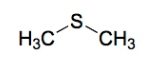 <p>Thioether / Sulfide</p>