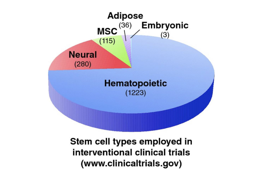 <ul><li><p>mostly HSCs</p></li></ul><p></p>