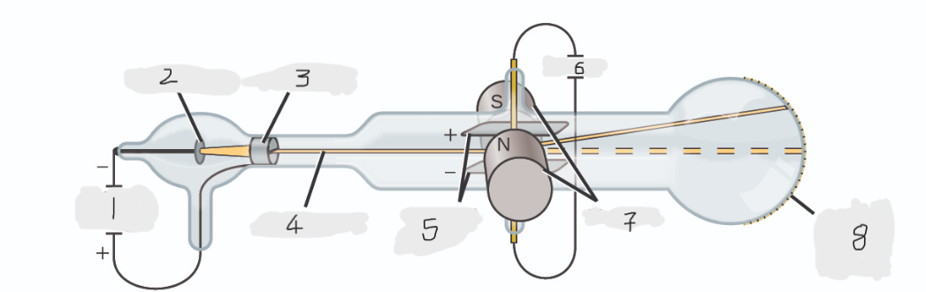 <p>(8)</p>