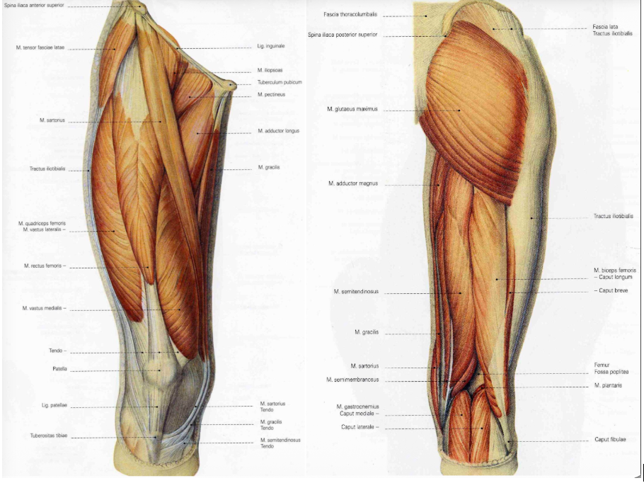 <p><span style="background-color: transparent;"><strong><span>reielihased</span></strong></span></p>