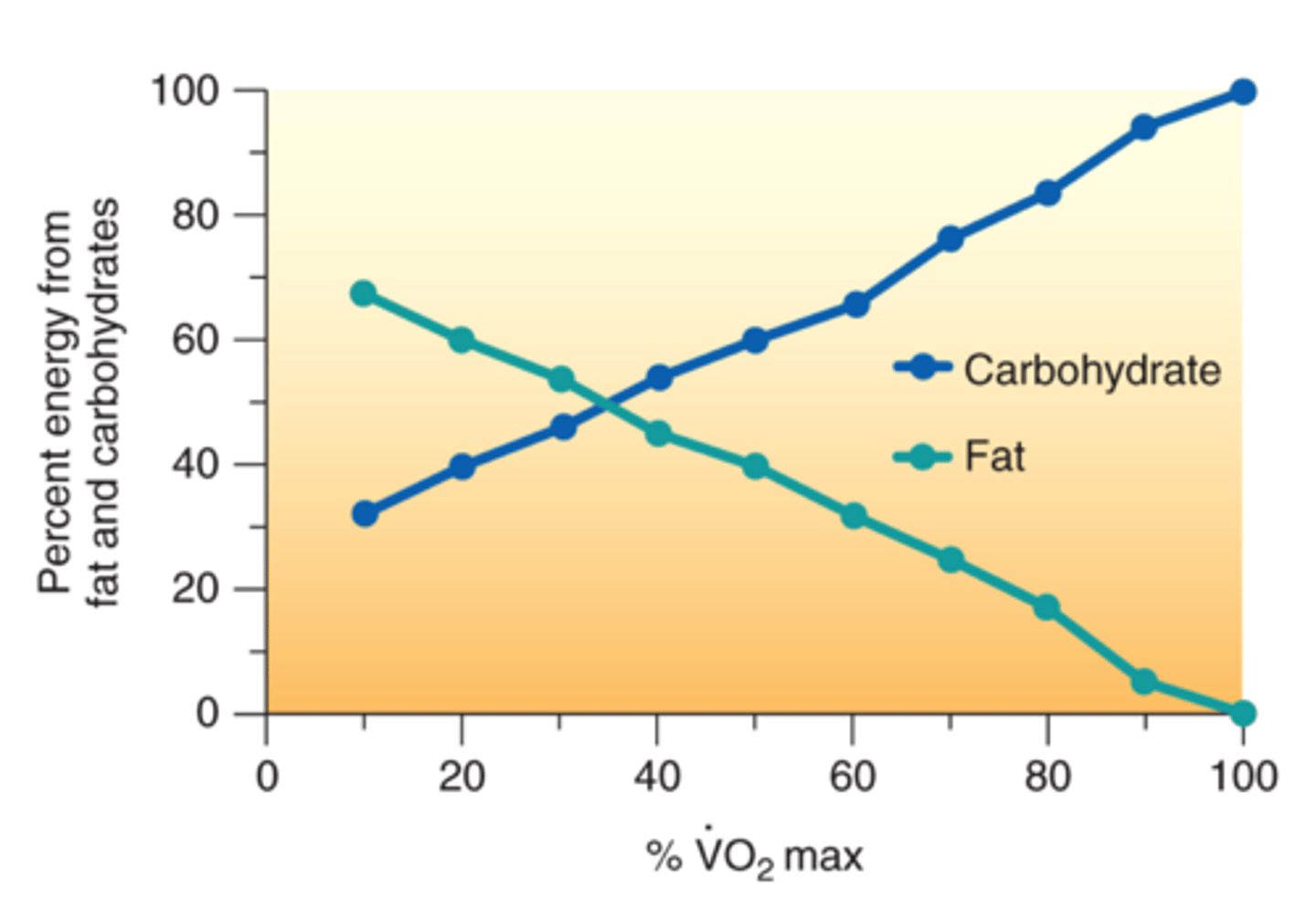 <p>-the more CHO youre using, the more CO2 youre giving off</p><p>-more fat= less CO2</p><p>-more CHO means RER closer to 1 and higher intensity</p><p>-more fat means lower RER and lesser intensity</p><p>-training can allow you to use fat better and delay CHO usage, allowing you to exercise longer and at a higher intensity</p>