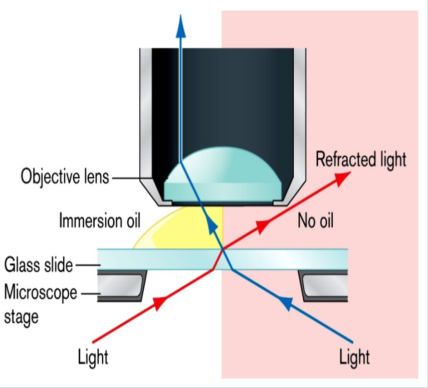 <p>Oil immersion</p>