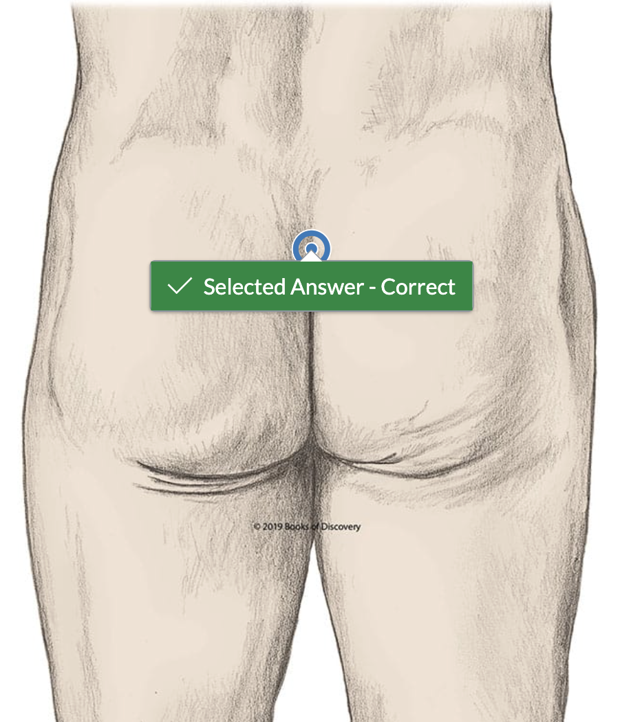 <p>top between butt cheeks</p>