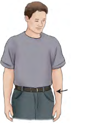 <p>Movement term </p>