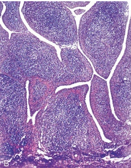 <p>What does this show</p>