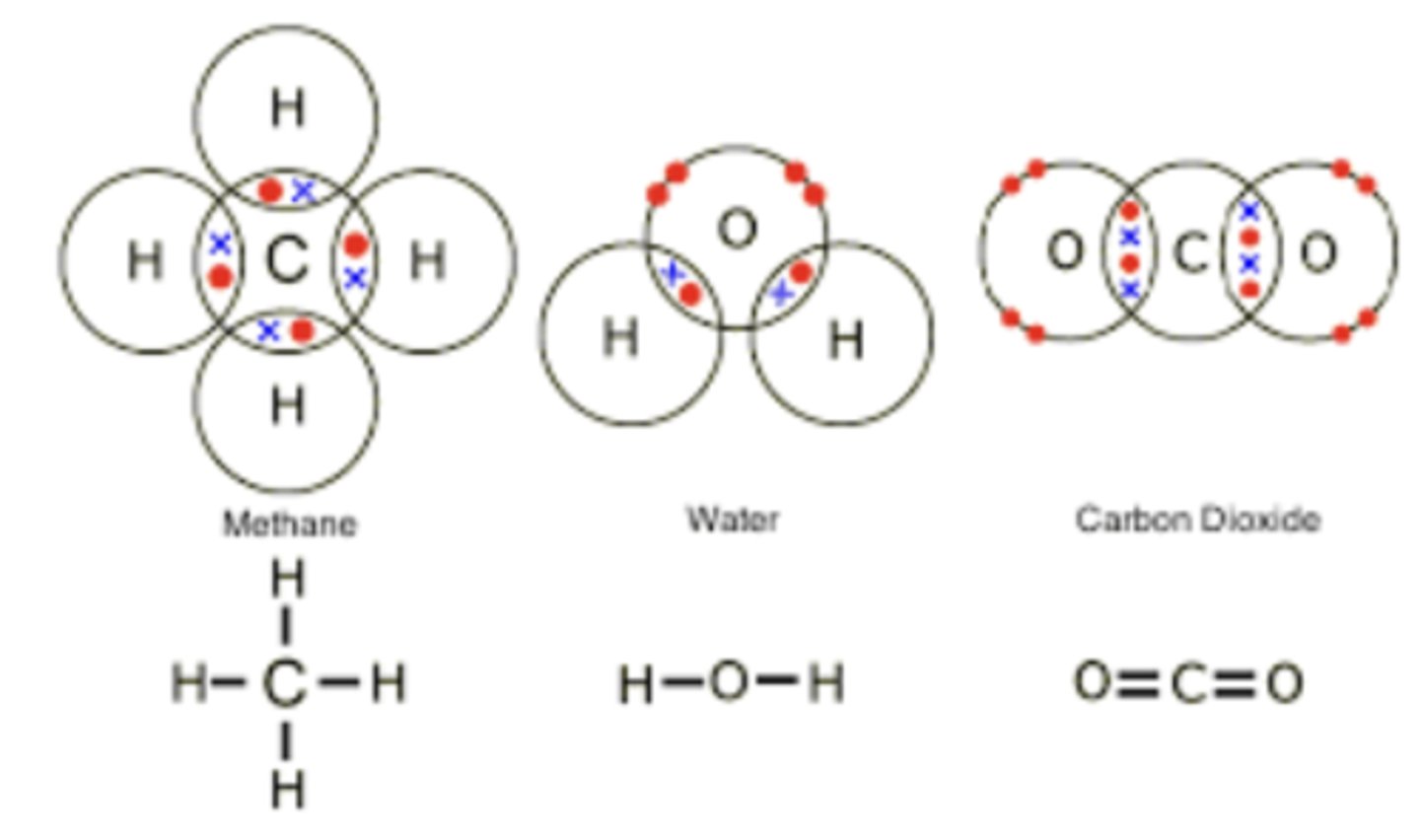 <p>energy stored in chemical bonds</p>