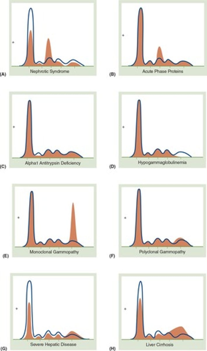 <p>Proteins that increase during inflammation or injury.</p>