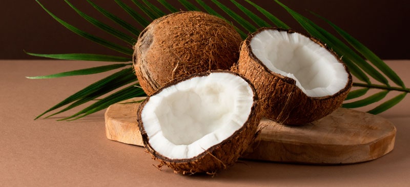 <p>Coconut</p>