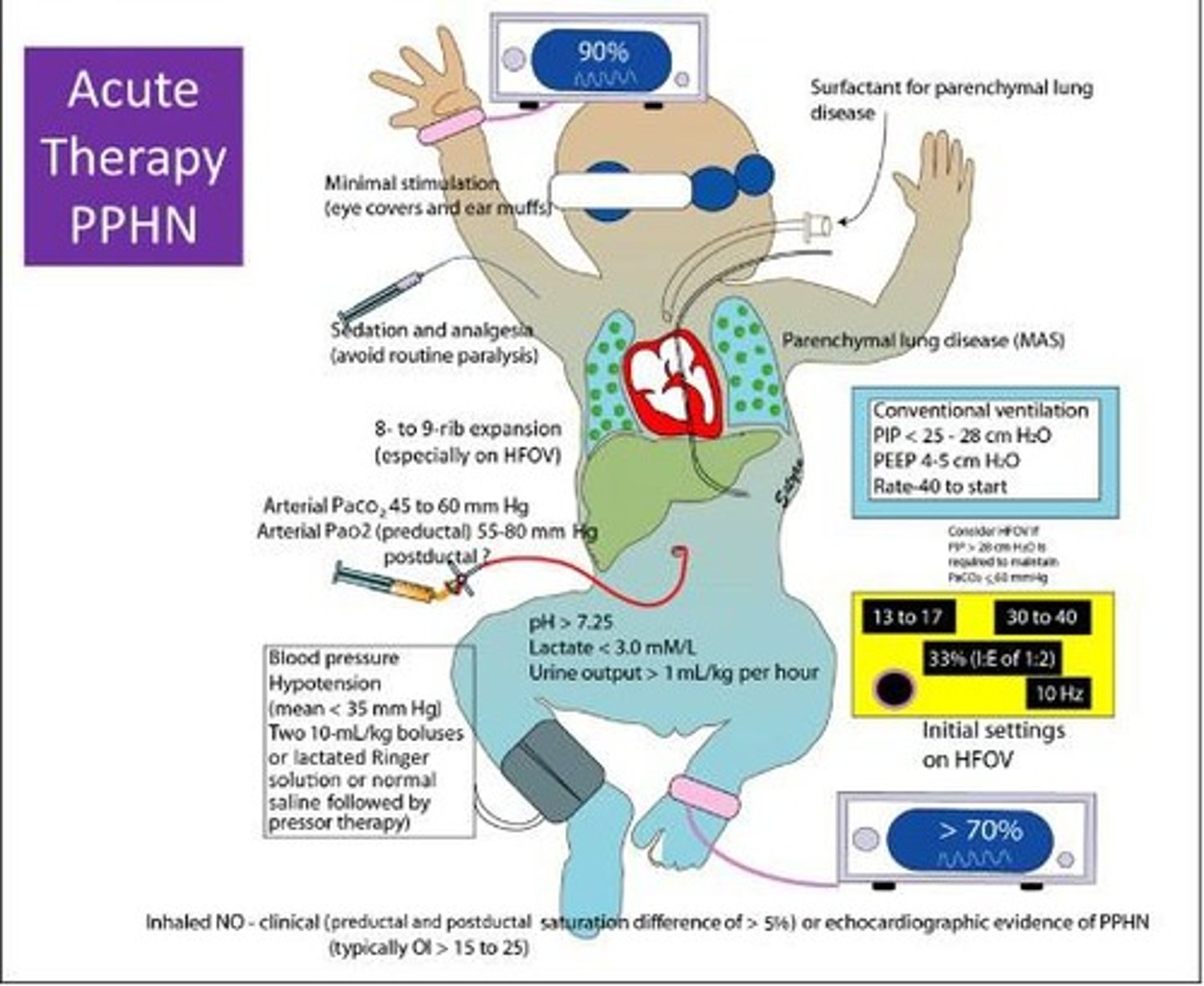 <p>A condition in newborns characterized by high blood pressure in the lungs, often requiring treatment.</p>