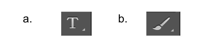 <p>If I want to type onto my image which tool do I use?</p>