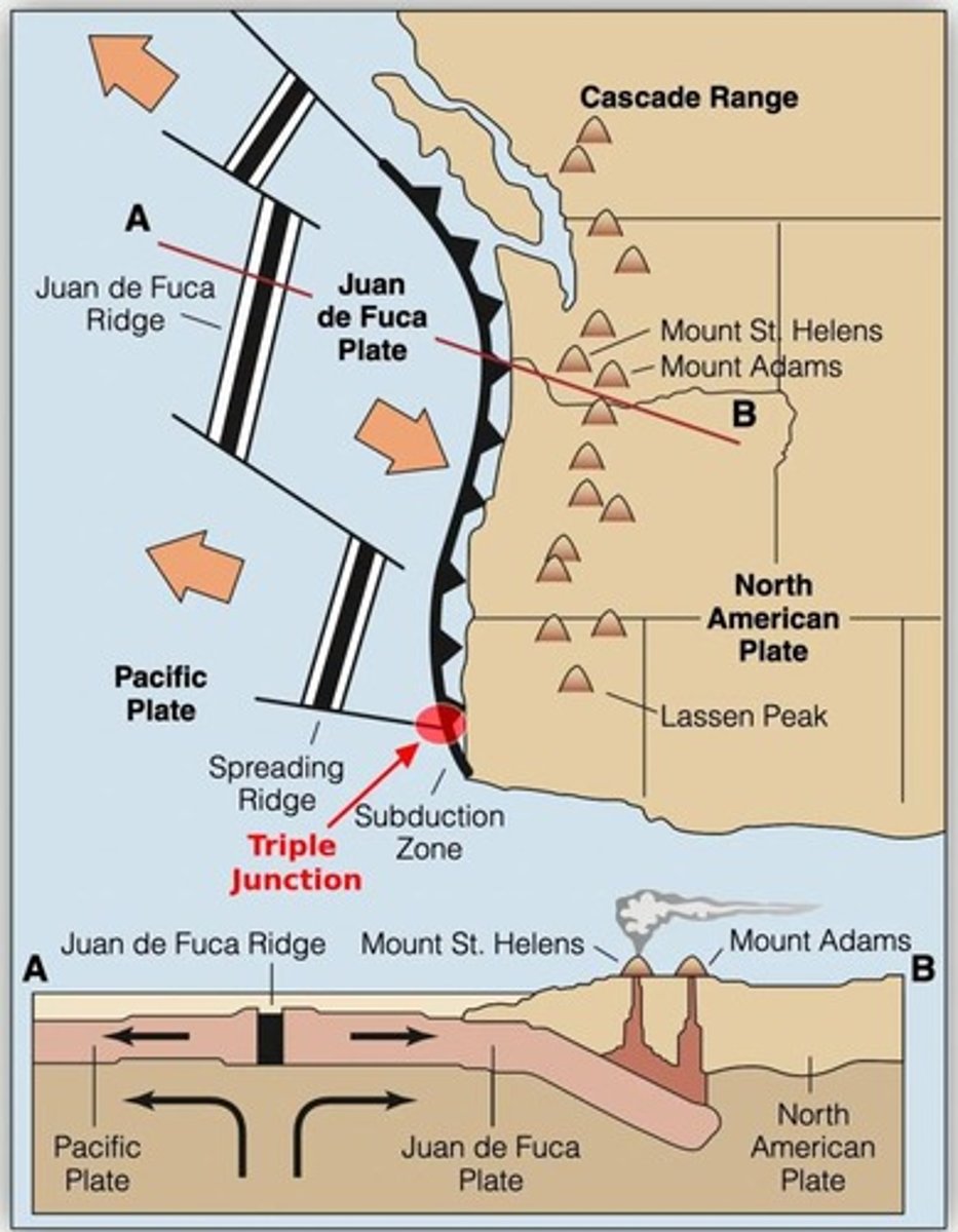 <p>The thermocline is a zone of rapid temperature change in the ocean.</p>