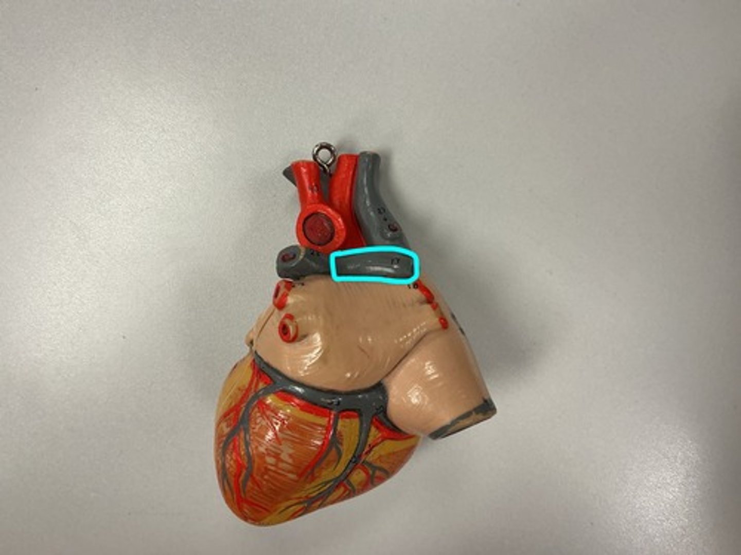 knowt flashcard image