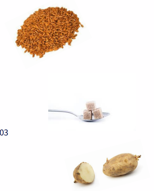 <p>Carbohydrates</p>