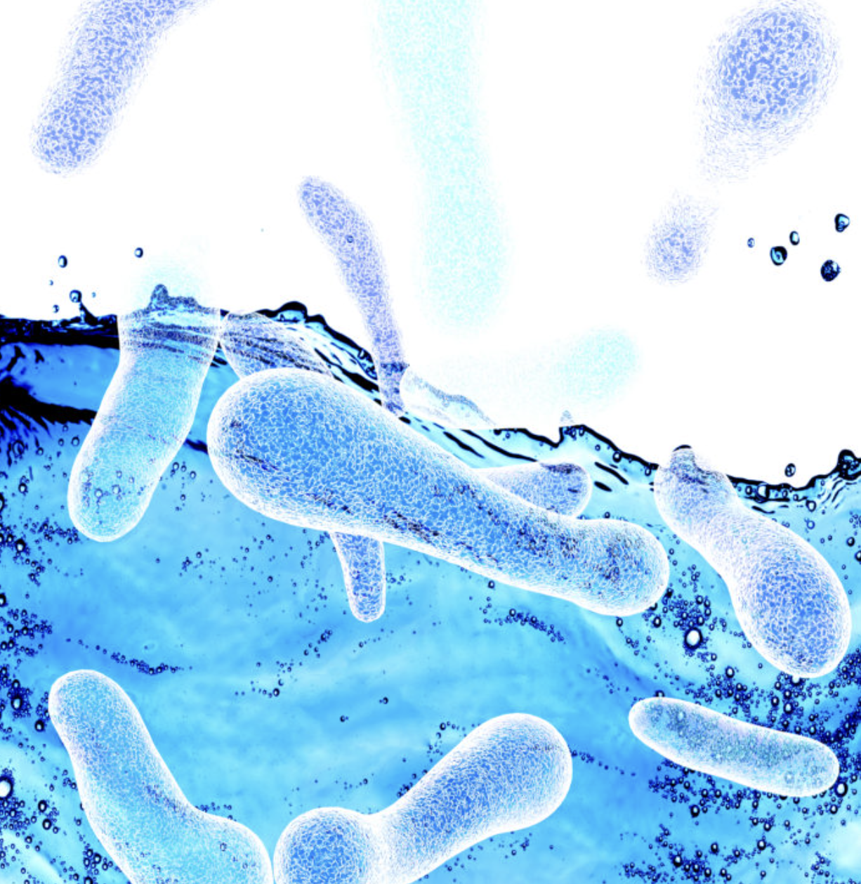 <ul><li><p>a</p></li><li><p>warm hospital water lines </p></li><li><p>water in AC cooling towers </p></li><li><p>aquatic amoeba </p></li><li><p>streams</p></li></ul><p></p>