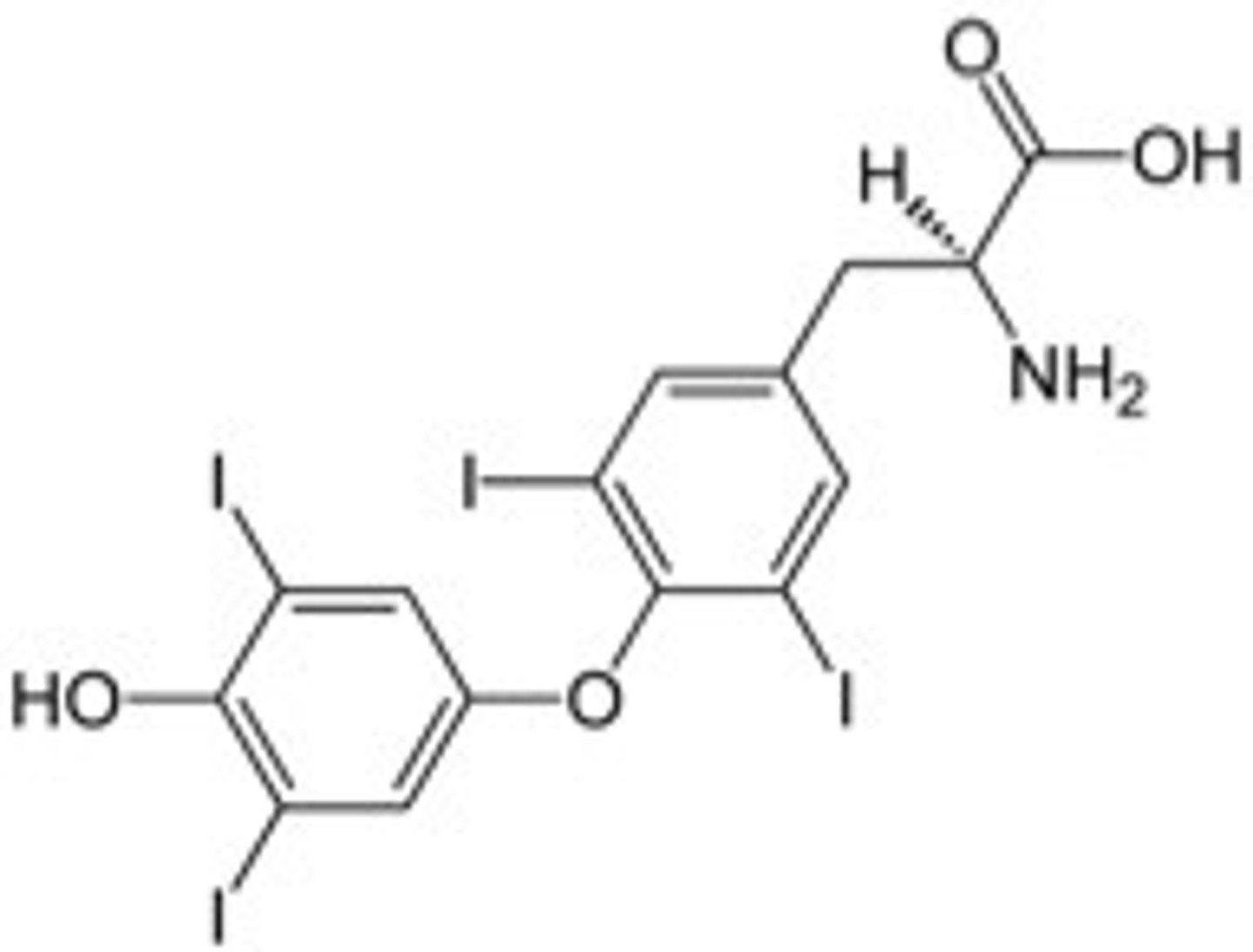 <p>Has 4 iodine molecules (T4 thats converted to T3)</p>