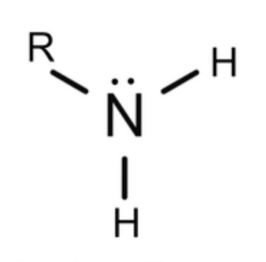 <p>Occurs when one or more hydrogen atoms  of NH<sub>3 </sub>are replaced with an alkyl group</p>