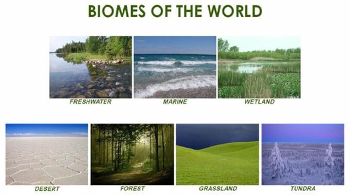 <p>major ecological associations that occupy broad geographic regions and/or water</p>