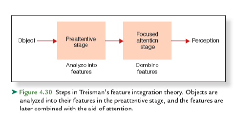 <p>Preattentive stage: <strong>All features are analyzed</strong> separately, free-floating features, things can be mixed, unconscious, automatic effortless</p><p>Focused attention stage: Features are integrated as belonging to an object (<strong>combining features</strong>)</p>