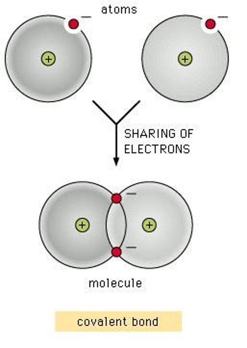 <p>Covalent bonds are formed when electrons are shared to fill the outer shell of the atoms involved.</p>