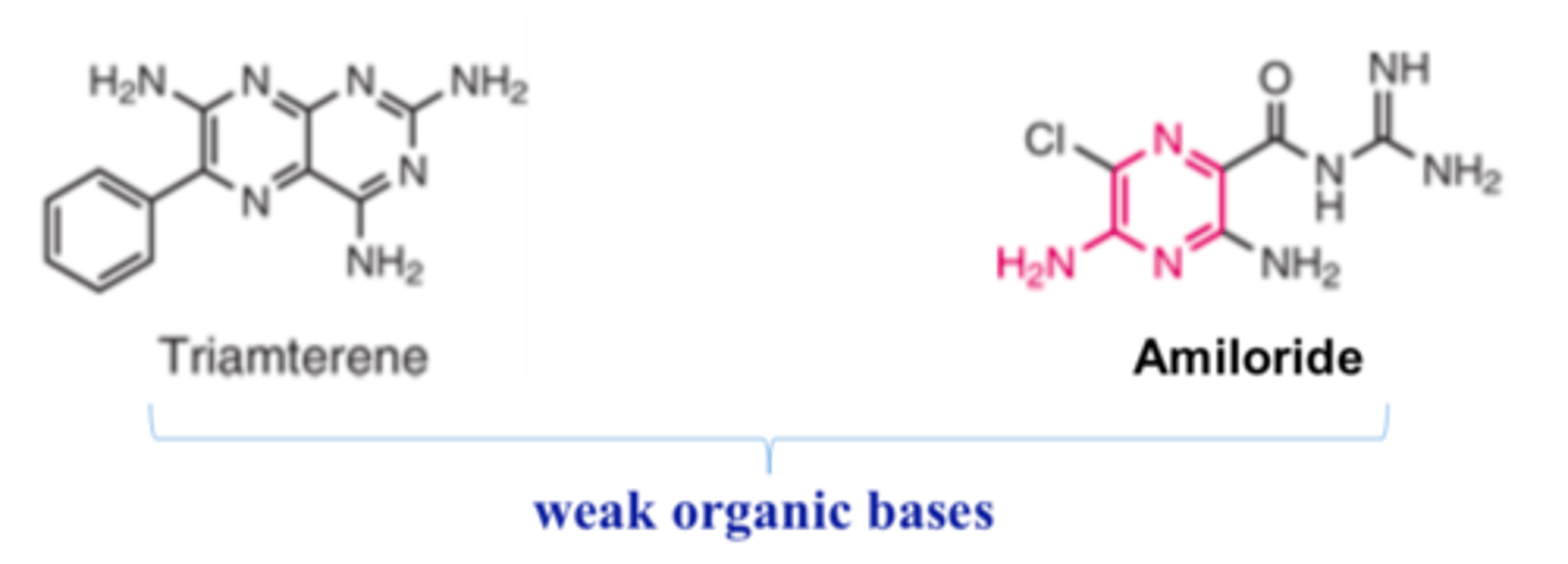 <p>- weak organic bases</p>