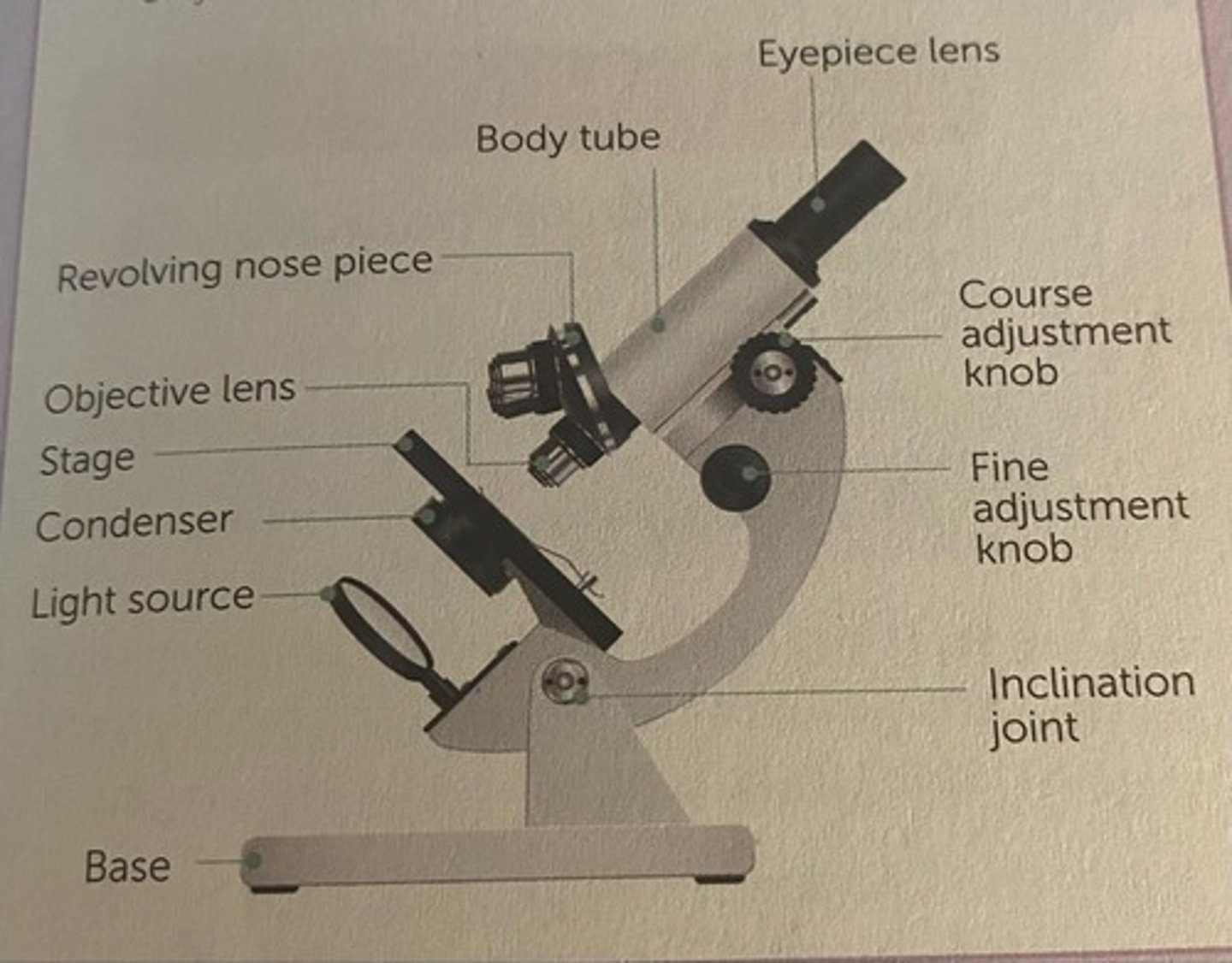 knowt flashcard image