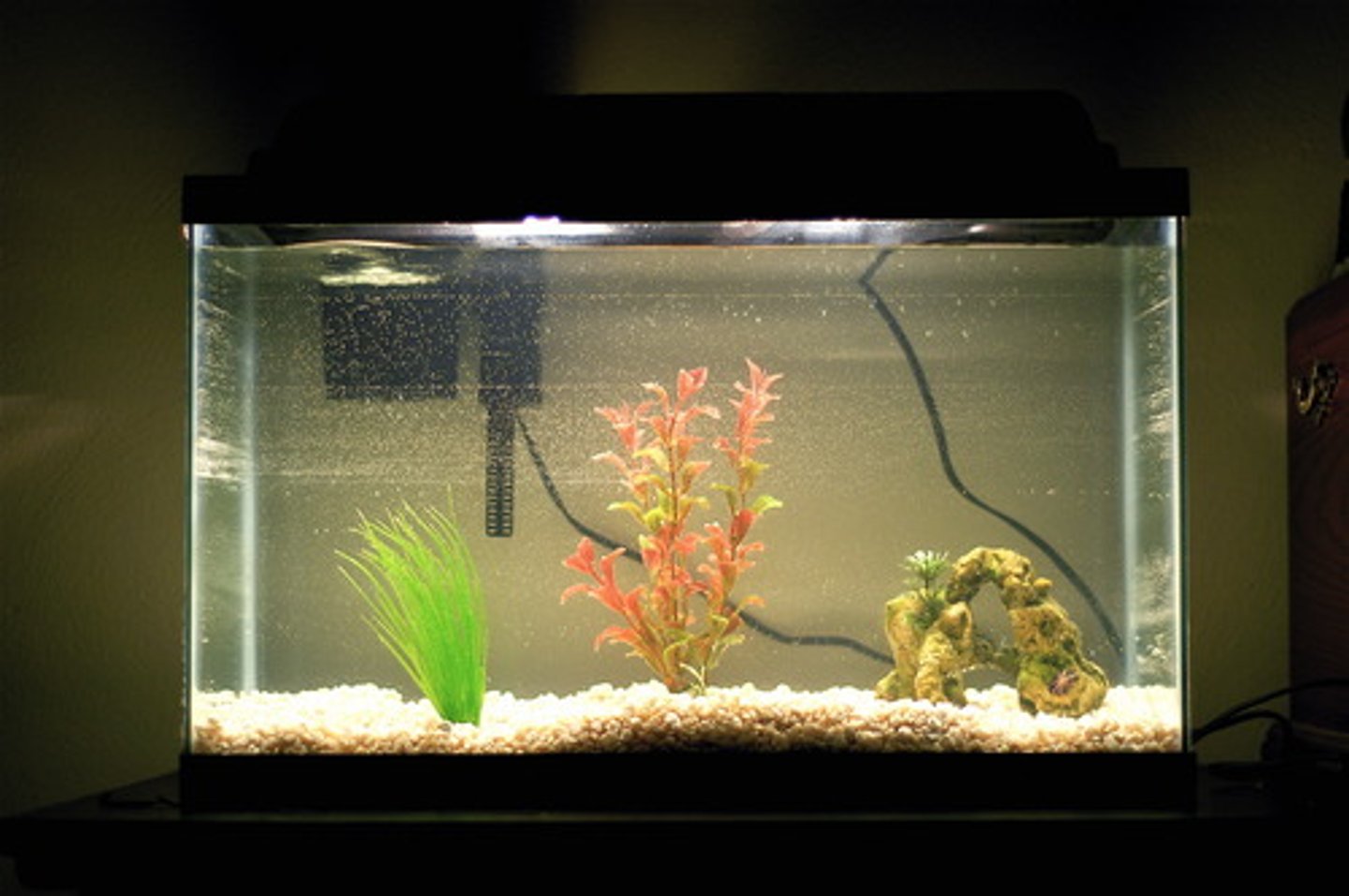 <p>to empty the aquarium</p>