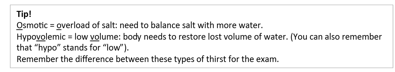<ol><li><p><strong>Osmotic thirst</strong></p></li><li><p><strong>Hypovolemic thirst</strong></p></li></ol><p></p>