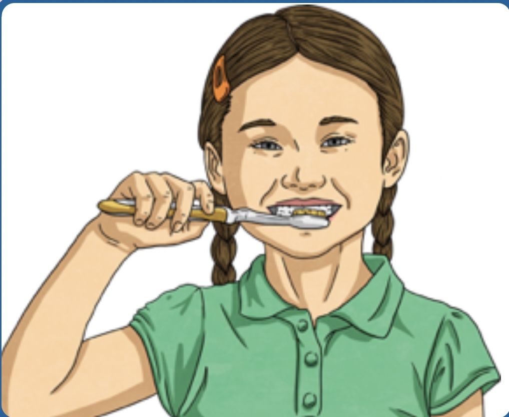 <p>Чистить мои зубы</p>