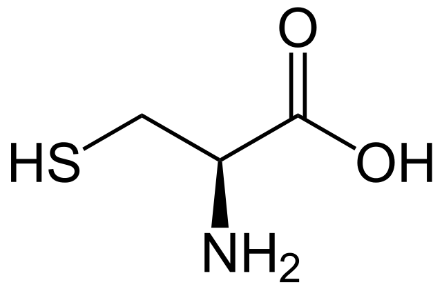 * abbreviations: Cys, C
* class: neutral & hydophilic 
* an amino acid that contains a thiol group (-SH) in its side chain.
* plays a crucial role in protein structure and function, as it can form disulfide bridges/bonds with other cysteine residues when oxidized, contributing to protein stability.