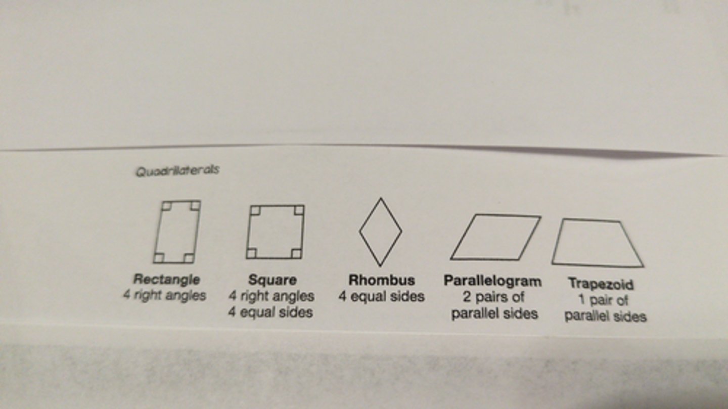 <p>four sided polygons (a flat shape with straight sides)</p>