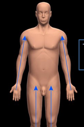 <p>Closer to point of attachment</p>