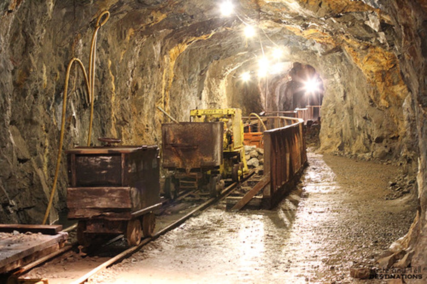 <p>An economy that relies on the export of primary commodities for a large share of its export earnings and hence economic growth. Imperialist countries extracted wealth from the natural resources of their colonies, leading to commodity dependence even after they became independent</p>