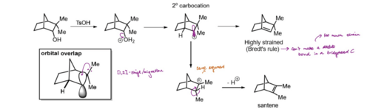 <p>Double bonds do not form to bridgehead carbons since too much strain is introduced into the system</p>