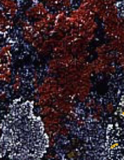 <p></p>