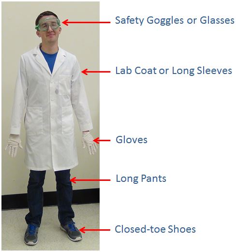 <p><span style="color: green;"><strong>Clothing and gear worn to minimize exposure to hazards in a laboratory environment, including gloves, goggles, and lab coats. </strong></span></p>