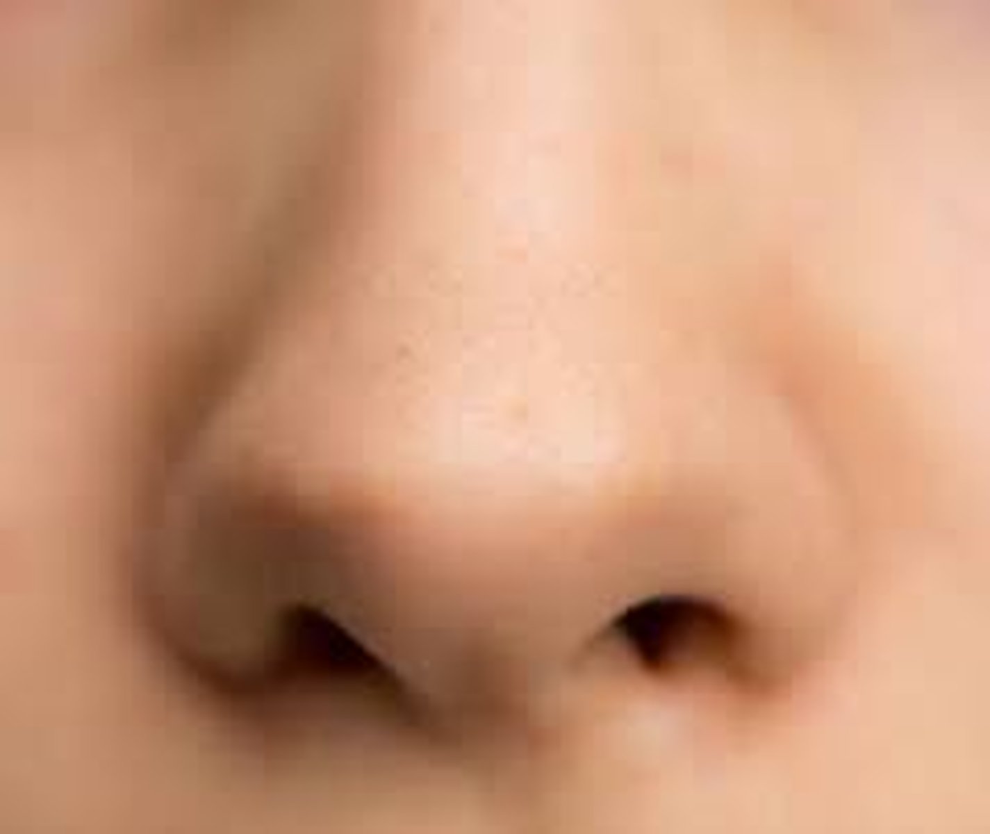 <p>nose</p>