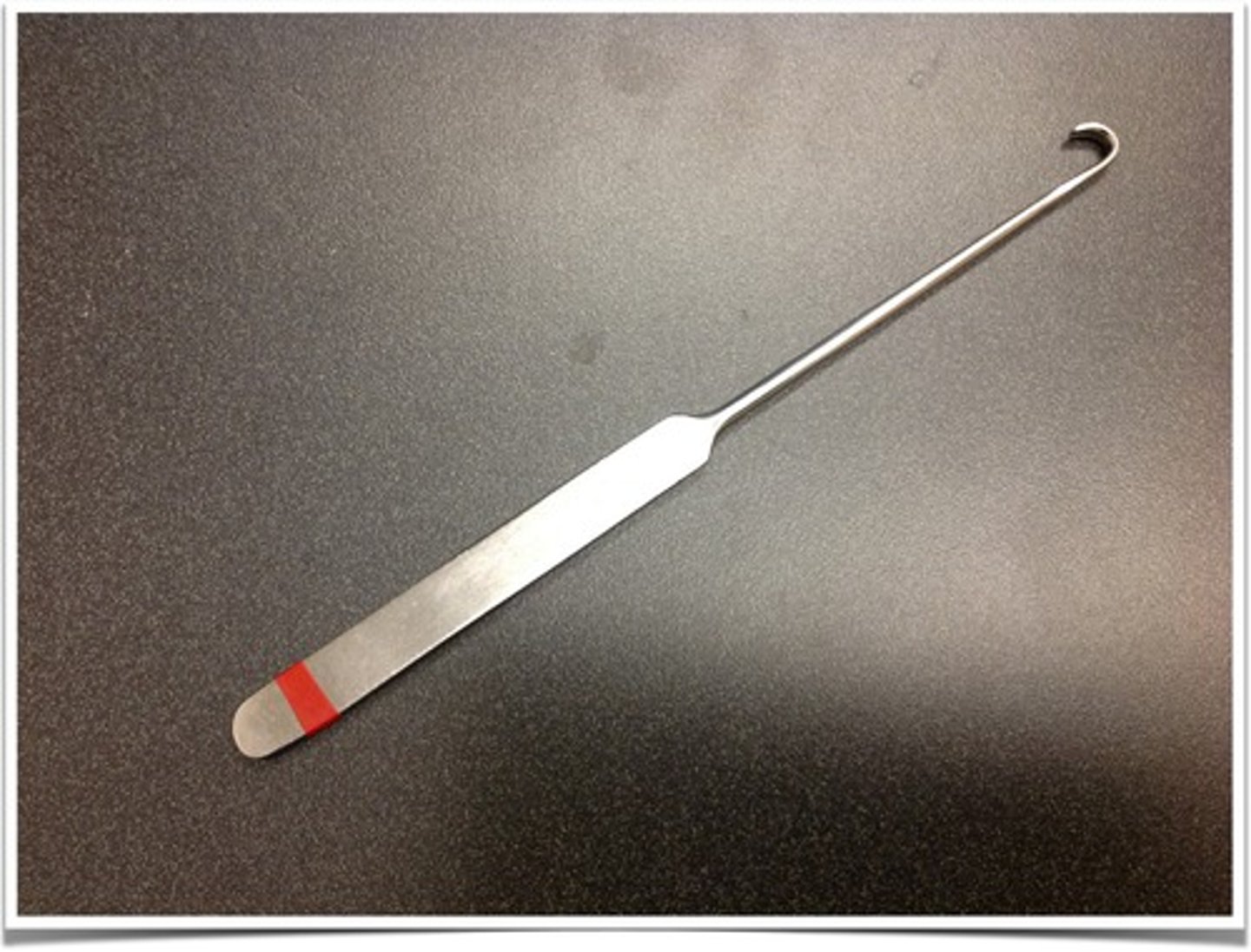 <p>Spay hook, Snook hook, Handheld, Single ended, Used to grasp the horn of the uterus during spay procedure</p>