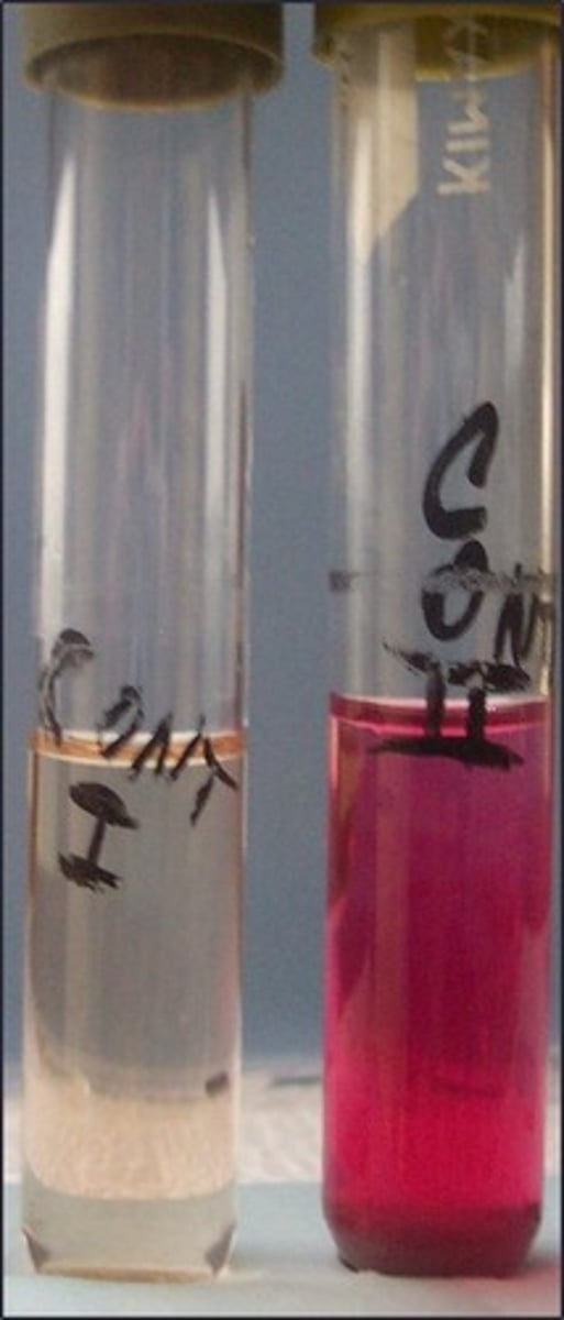 <p>This tests for</p>