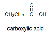 <p>Carboxylic acid</p>