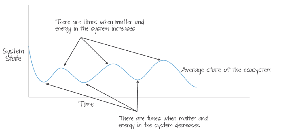 <ul><li><p><span>Open systems tend to exist in steady-state equilibrium</span></p></li><li><p><span>DOES NOT mean the systems are not changing</span></p></li><li><p><span>inputs/outputs of energy and matter that overall remain almost constant</span></p></li></ul><p></p>