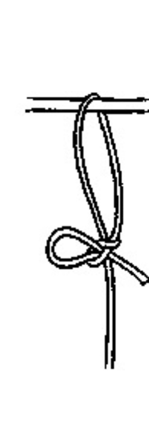 <ul><li><p><span style="color: rgb(0, 0, 0)">The halter tie is a quick release knot that should always be used to secure an animal to an unmoving object</span></p></li><li><p><span style="color: rgb(0, 0, 0)">If the animal become entangled in the rope or panics for any reason, a quick pull on the end of the rope releases the animal</span></p></li><li><p><span style="color: rgb(0, 0, 0)">Standing and free, working and make a loop with working and over understanding and.</span></p></li><li><p><span style="color: rgb(0, 0, 0)">Pinch working and and push pinched working and through working and hole</span></p></li><li><p><span style="color: rgb(0, 0, 0)">Pull standing and tight</span></p></li></ul>