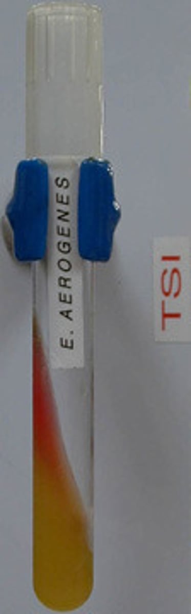 <p>What is this?</p>