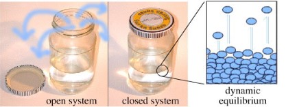 <p>In a chemical system, when the forward reaction and the reverse reaction are balanced and the reactions are occurring at the <u>same rate</u>.</p><p>It is changing at a <strong><em>molecular level</em></strong> while its <strong><em>macroscopic properties</em></strong> (an observable or measurable property such as concentration, colour, temperature, pressure, and pH) remain <u><strong><em>constant</em></strong></u>.</p><ul><li><p>System must be <strong>closed</strong>.</p></li><li><p>Three main types that can occur.</p></li></ul>