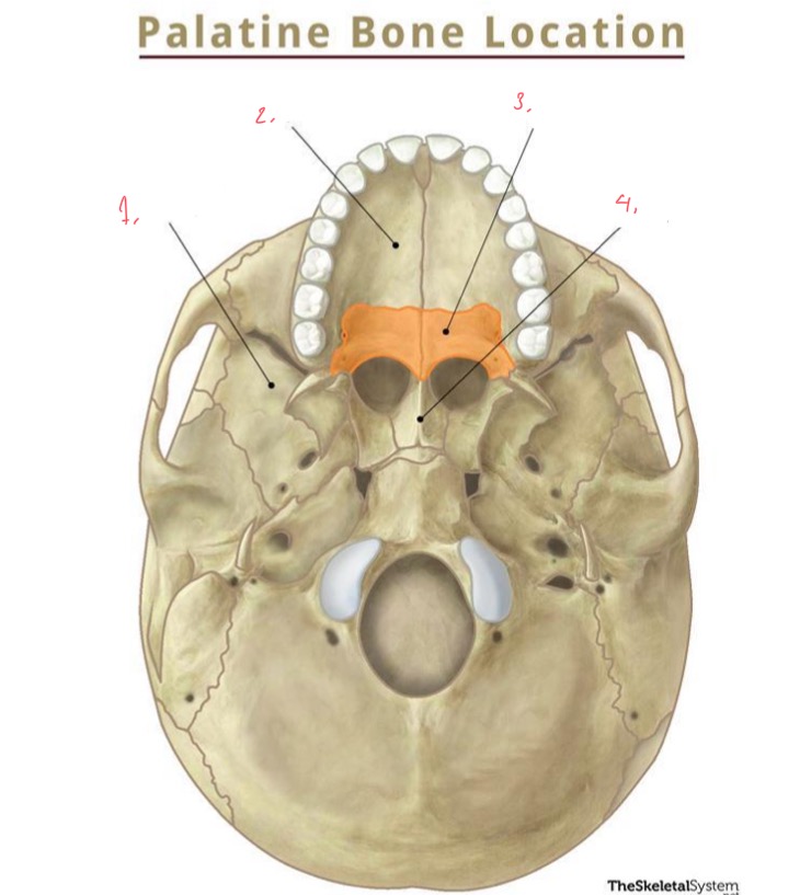 <p>label the following</p>