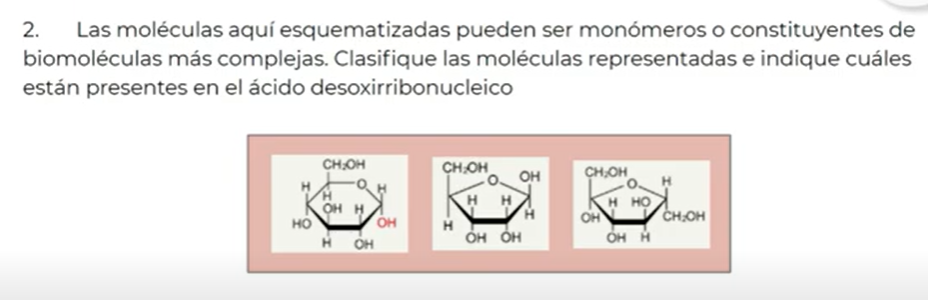 <p>Las moléculas aquí esquematizadas pueden ser monómeros o constituyentes de biomoléculas más complejas. Clasifique las moléculas representadas e indique cuáles están presentes en el ácido desoxirribonucleico.</p>