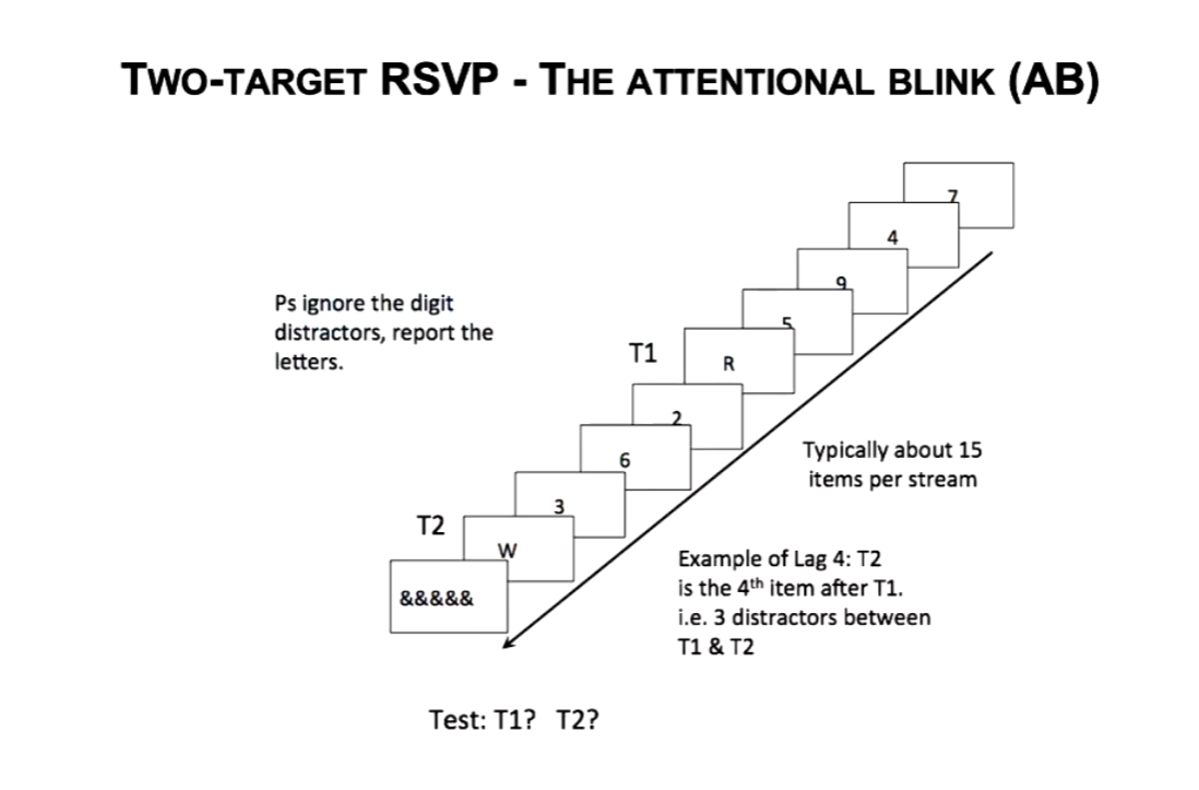 <ul><li><p><span>The phenomenon that the second of two targets cannot be detected or identified when it appears close in time to the first at the same location and through distractors.</span></p></li></ul><p></p>