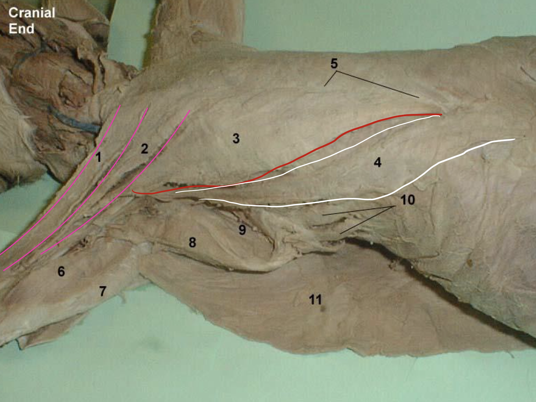 <p>1</p>