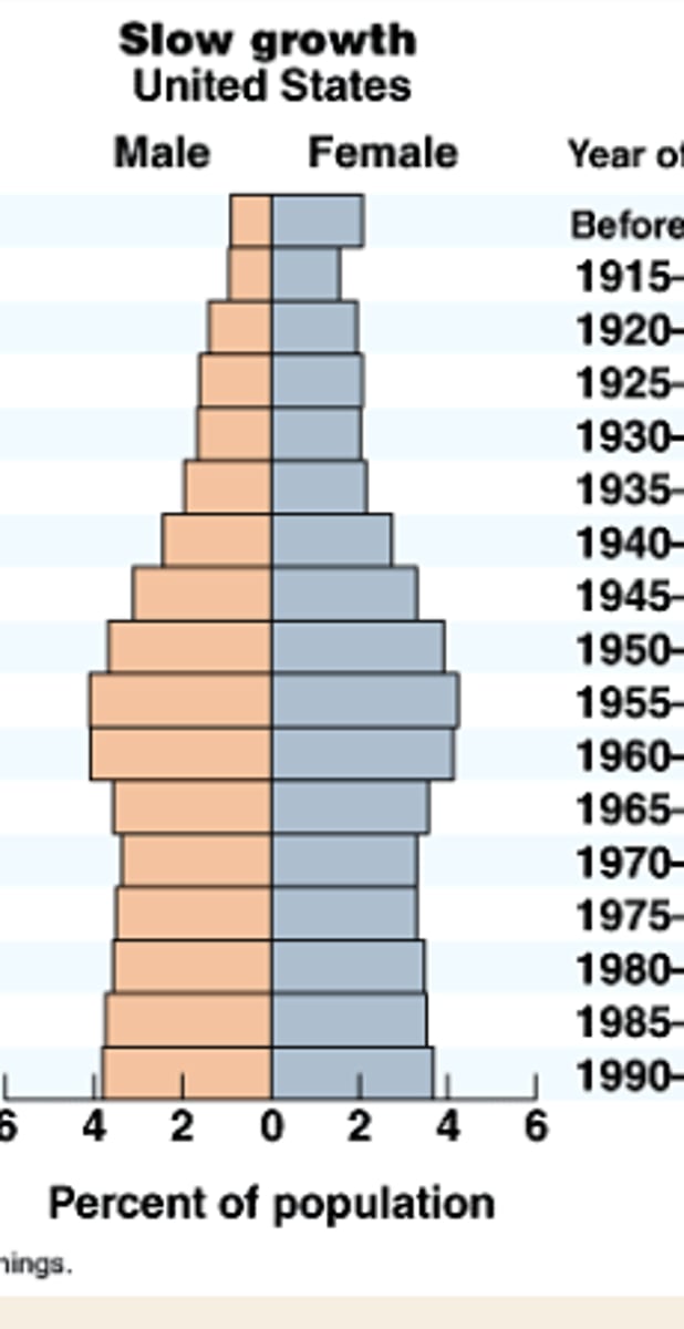 <p>relatively consistent shape</p>